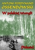 W polskiej dżungli (A. F. Ossendowski)